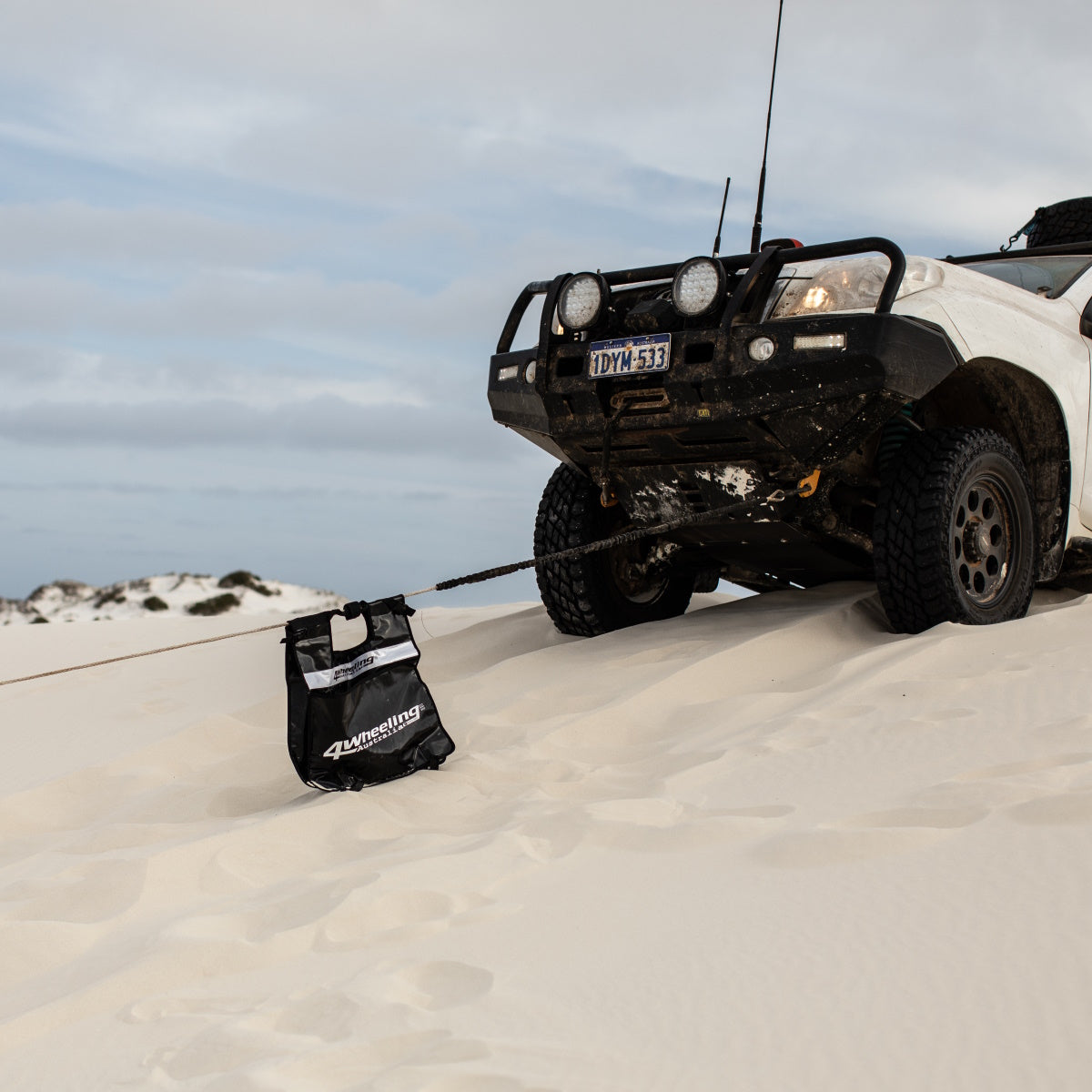 Winch Dampener